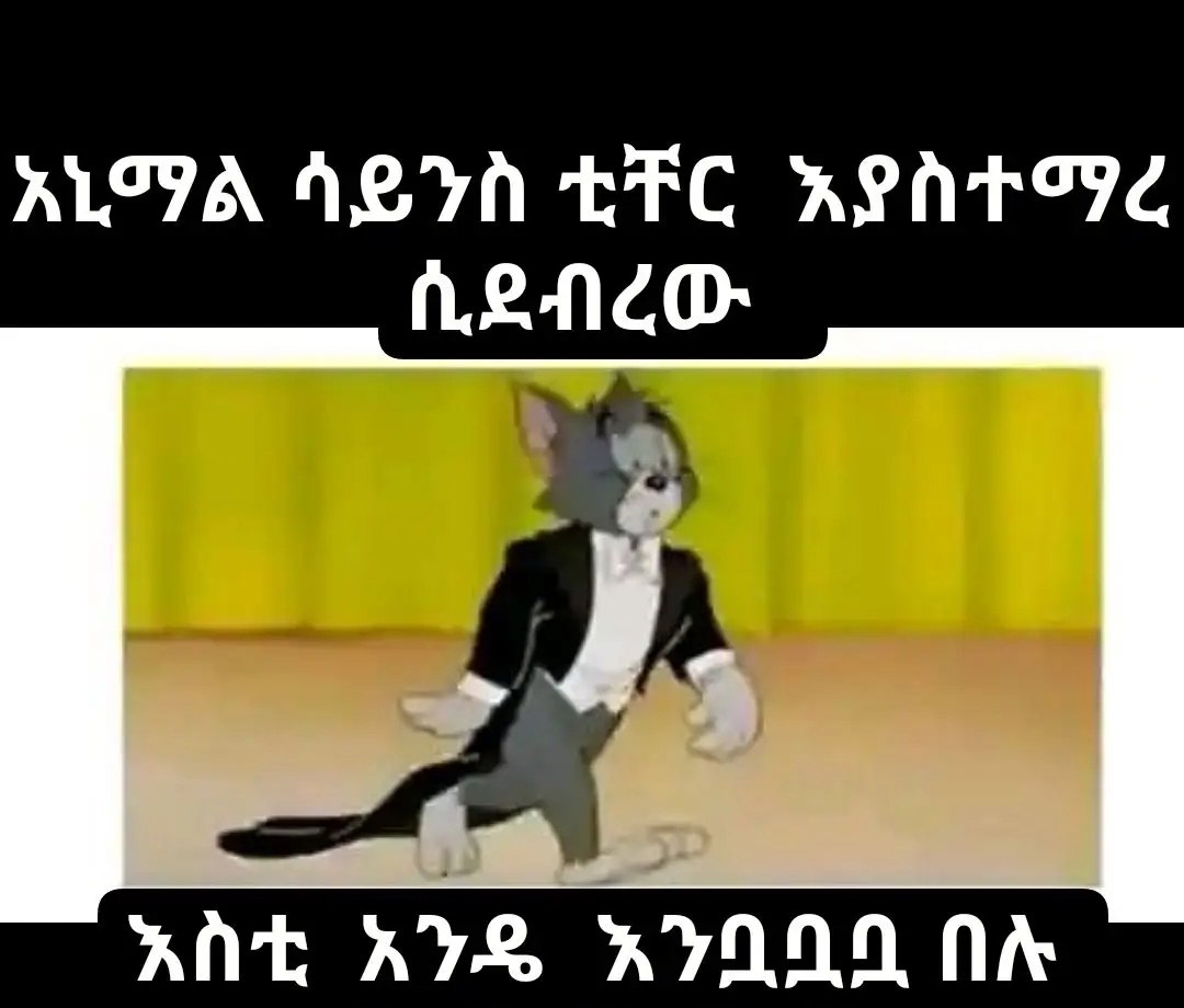 አየዉ ዲጩሃስ ብ፳፤ር ኳዐስኖሜኃረ አድን 95 99 LITA ABTA BIE WHT SEs 5D WOOO